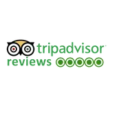 tripadvisorreviews-1.webp